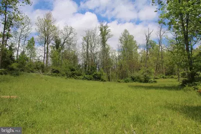 251 Barclays Run Lane, Gore, VA 22637 - Photo 44