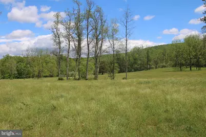 251 Barclays Run Lane, Gore, VA 22637 - Photo 52