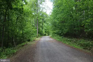 251 Barclays Run Ln, Gore, VA 22637 - Photo 60