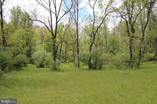 251 Barclays Run Ln, Gore, VA 22637 - Photo 48