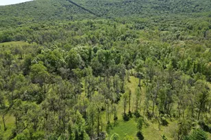 251 Barclays Run Ln, Gore, VA 22637 - Photo 96