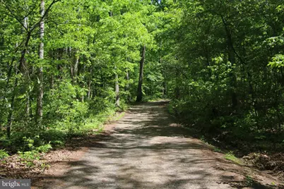 251 Barclays Run Lane, Gore, VA 22637 - Photo 64