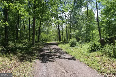 251 Barclays Run Lane, Gore, VA 22637 - Photo 62