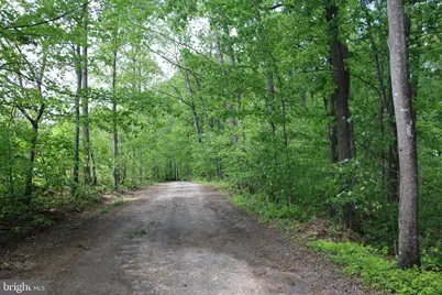 251 Barclays Run Lane, Gore, VA 22637 - Photo 68