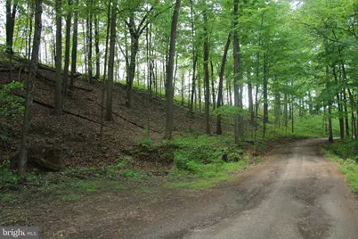 251 Barclays Run Lane, Gore, VA 22637 - Photo 58