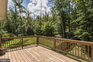 204 Cougar Trail, Winchester, VA 22602 - Photo 12