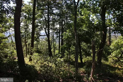 Wolf Spring Trail, Winchester, VA 22602 - Photo 4