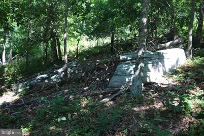 Wolf Spring Trail, Winchester, VA 22602 - Photo 8