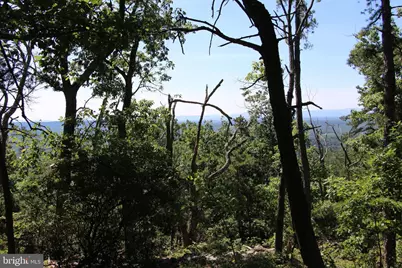 Wolf Spring Trail, Winchester, VA 22602 - Photo 12