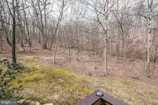 642 Paddys Run Rd, Star Tannery, VA 22654 - Photo 10