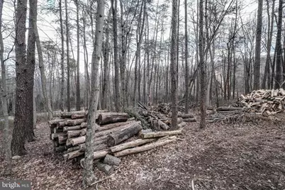 642 Paddys Run Road, Star Tannery, VA 22654 - Photo 20