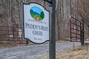 642 Paddys Run Rd, Star Tannery, VA 22654 - Photo 22