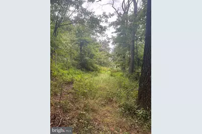 Sundown Road, Gore, VA 22637 - Photo 10