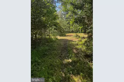 0 Perry Road, Winchester, VA 22602 - Photo 8