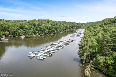 1003 Lakeview Drive, Cross Junction, VA 22625 - Photo 100
