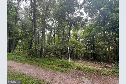 Lot 4 Saltlick Trail, Winchester, VA 22602 - Photo 8