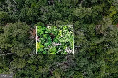 Lot 4 Saltlick Trail, Winchester, VA 22602 - Photo 4