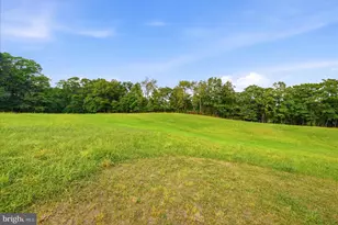 531 Cedar Grove Rd, Winchester, VA 22603 - Photo 68