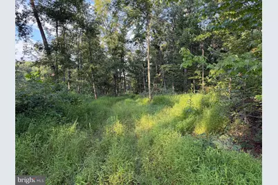 Tract 1: 152.44+/- Acres Off Of Laurel Grove Road, Winchester, VA 22602 - Photo 42