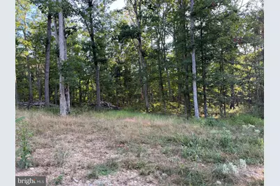 Tract 1: 152.44+/- Acres Off Of Laurel Grove Road, Winchester, VA 22602 - Photo 52