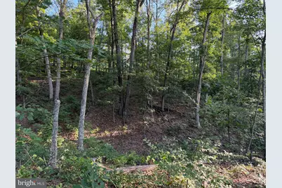 Tract 1: 152.44+/- Acres Off Of Laurel Grove Road, Winchester, VA 22602 - Photo 48