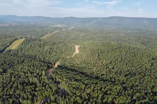 Tract 1: 152 44+/- Acres Off Of Laurel Grove Rd, Winchester, VA 22602 - Photo 1