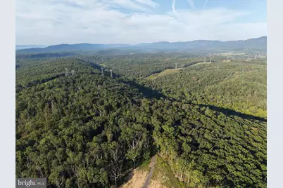 Tract 1: 152.44+/- Acres Off Of Laurel Grove Road, Winchester, VA 22602 - Photo 10