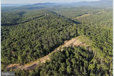 Tract 1: 152.44+/- Acres Off Of Laurel Grove Road, Winchester, VA 22602 - Photo 8