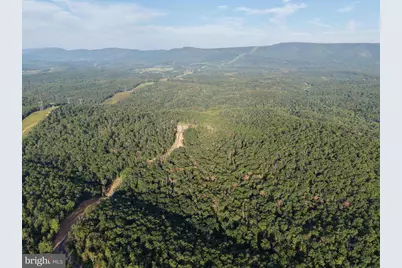Tract 1: 152.44+/- Acres Off Of Laurel Grove Road, Winchester, VA 22602 - Photo 6