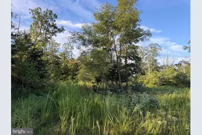Tract 2: 158.43+/- Acres Laurel Grove Rd, Winchester, VA 22602 - Photo 28