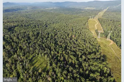 Tract 2: 158.43+/- Acres Laurel Grove Rd, Winchester, VA 22602 - Photo 14