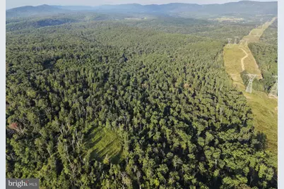 Tract 2: 158.43+/- Acres Laurel Grove Rd, Winchester, VA 22602 - Photo 12