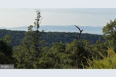 Tract 2: 158.43+/- Acres Laurel Grove Rd, Winchester, VA 22602 - Photo 34