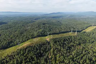 Tract 2: 158 43+/- Acres Laurel Grove Rd, Winchester, VA 22602 - Photo 1