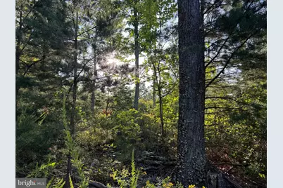 Tract 2: 158.43+/- Acres Laurel Grove Rd, Winchester, VA 22602 - Photo 24
