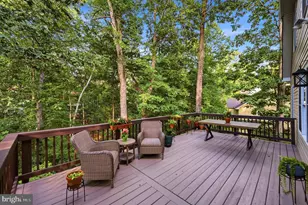 303 Northwood Cir, Cross Junction, VA 22625 - Photo 52