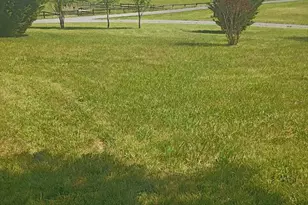 479 Perry Rd, Winchester, VA 22602 - Photo 10