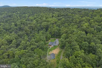 236 Delmas Trail, Winchester, VA 22602 - Photo 48