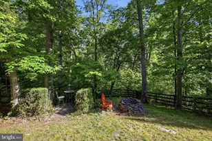 151 Travis Ct, Winchester, VA 22602 - Photo 42
