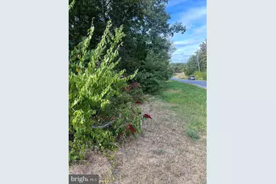 Lot 2 Covey Lane, Winchester, VA 22602 - Photo 2