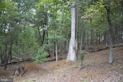 3016 Siler Road, Winchester, VA 22603 - Photo 46