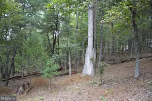 3016 Siler Rd, Winchester, VA 22603 - Photo 46