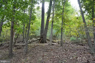 3016 Siler Road, Winchester, VA 22603 - Photo 80