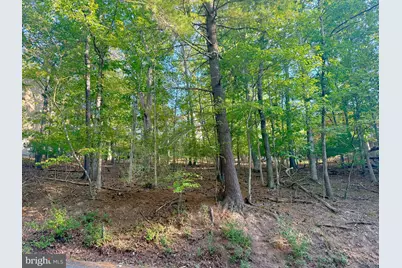 1210 Lakeview Drive, Cross Junction, VA 22625 - Photo 6