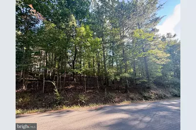 1210 Lakeview Drive, Cross Junction, VA 22625 - Photo 4