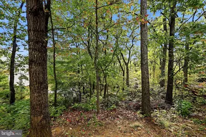 544 Bluebird Trail, Winchester, VA 22602 - Photo 32