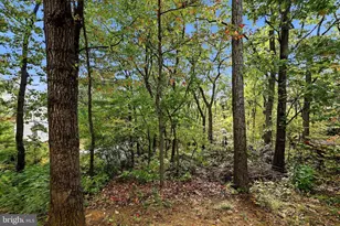 544 Bluebird Trail, Winchester, VA 22602 - Photo 32