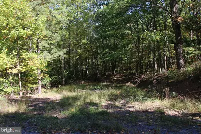 Fall Run Lane, Winchester, VA 22602 - Photo 16