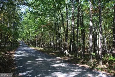 Fall Run Lane, Winchester, VA 22602 - Photo 22