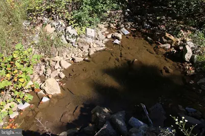 Fall Run Lane, Winchester, VA 22602 - Photo 18